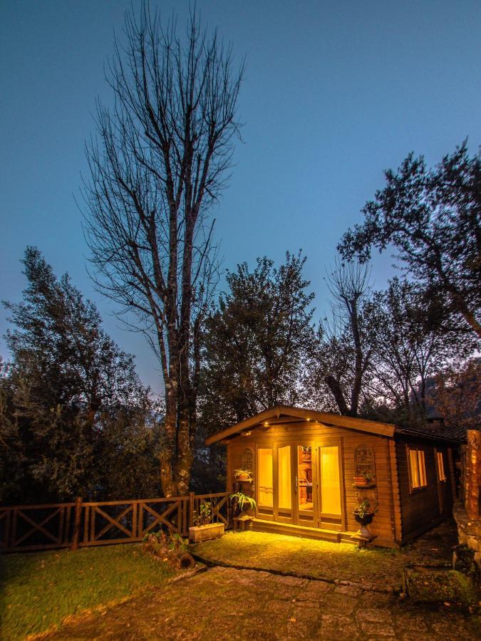 Casa Da Terra Nova - Geres Holiday home Rio Caldo